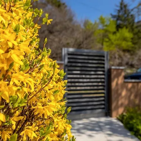 House Goga Σπίτι διακοπών *