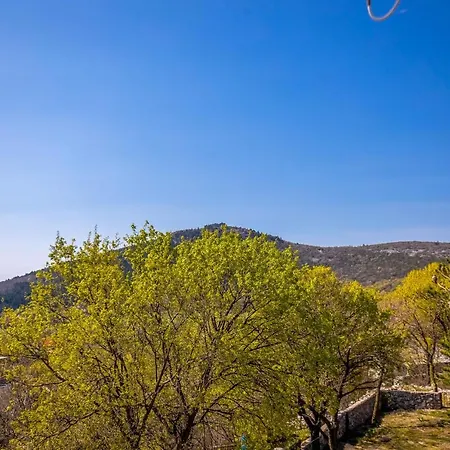 Tatil Evi House Goga Ledenice